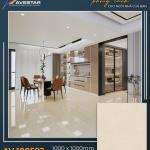 Gạch lát cao cấp AV 100505