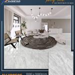 Gạch lát cao cấp AV 100501
